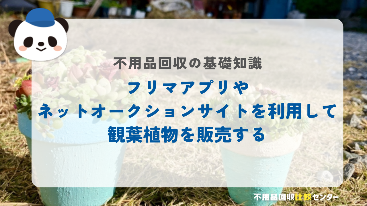 フリマアプリやネットオークションサイトを利用して観葉植物を販売する