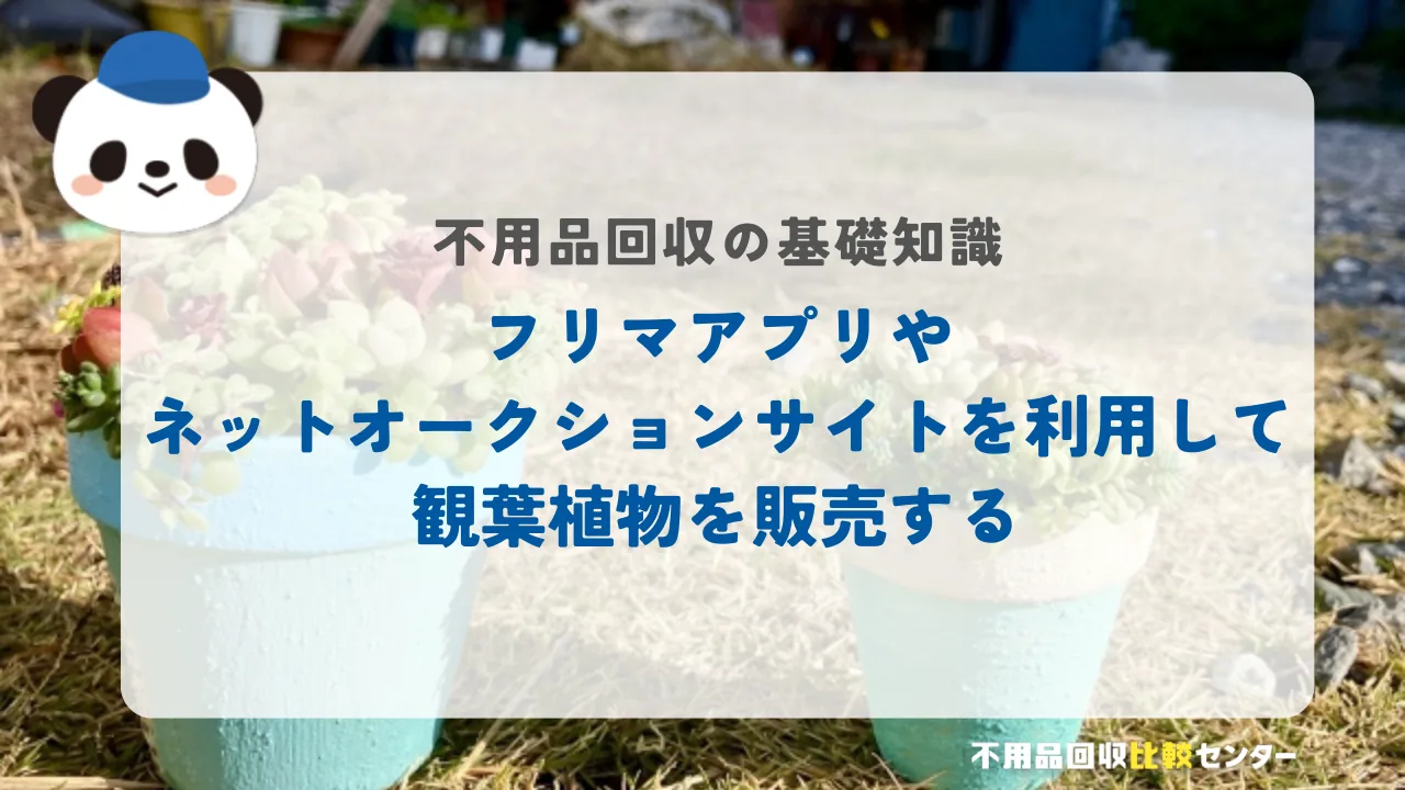 フリマアプリやネットオークションサイトを利用して観葉植物を販売する