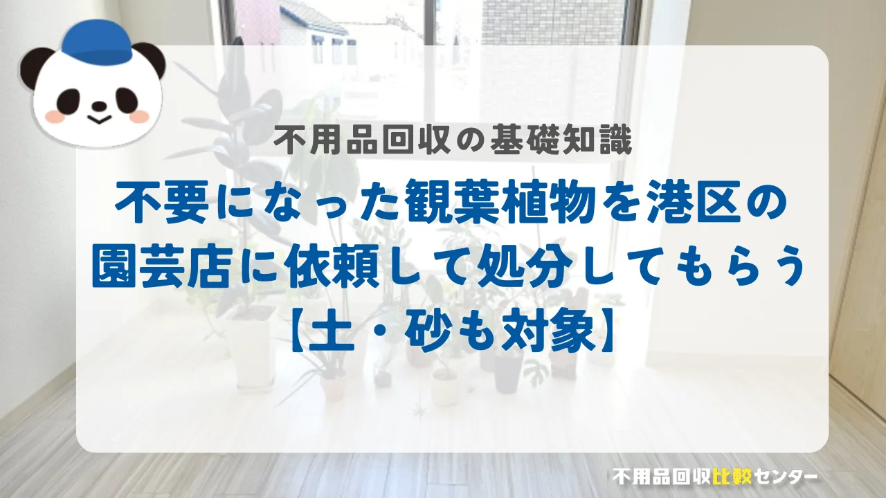 不要になった観葉植物を港区の園芸店に依頼して処分してもらう【土・砂も対象】