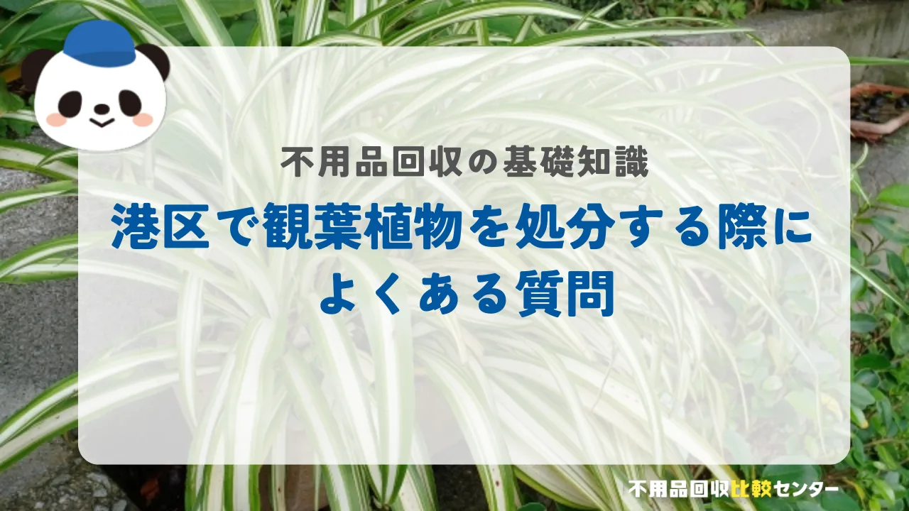 港区で観葉植物を処分する際によくある質問