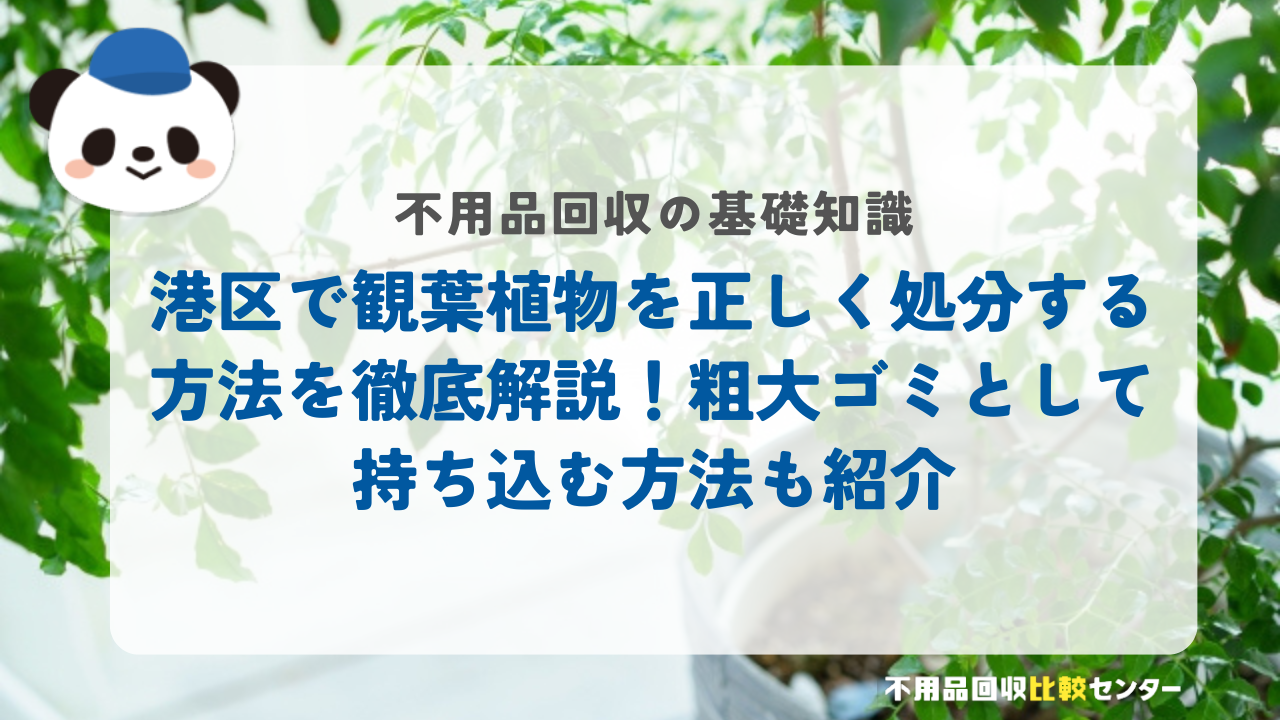 東京都港区で観葉植物を正しく処分する方法を徹底解説！粗大ゴミとして持ち込む方法も紹介