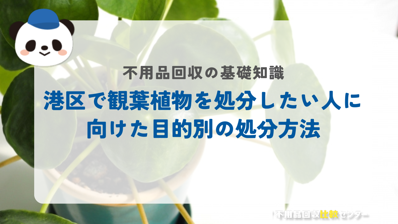 港区で観葉植物を処分したい人に向けた目的別の処分方法
