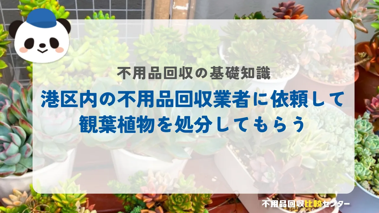 港区内の不用品回収業者に依頼して観葉植物を処分してもらう
