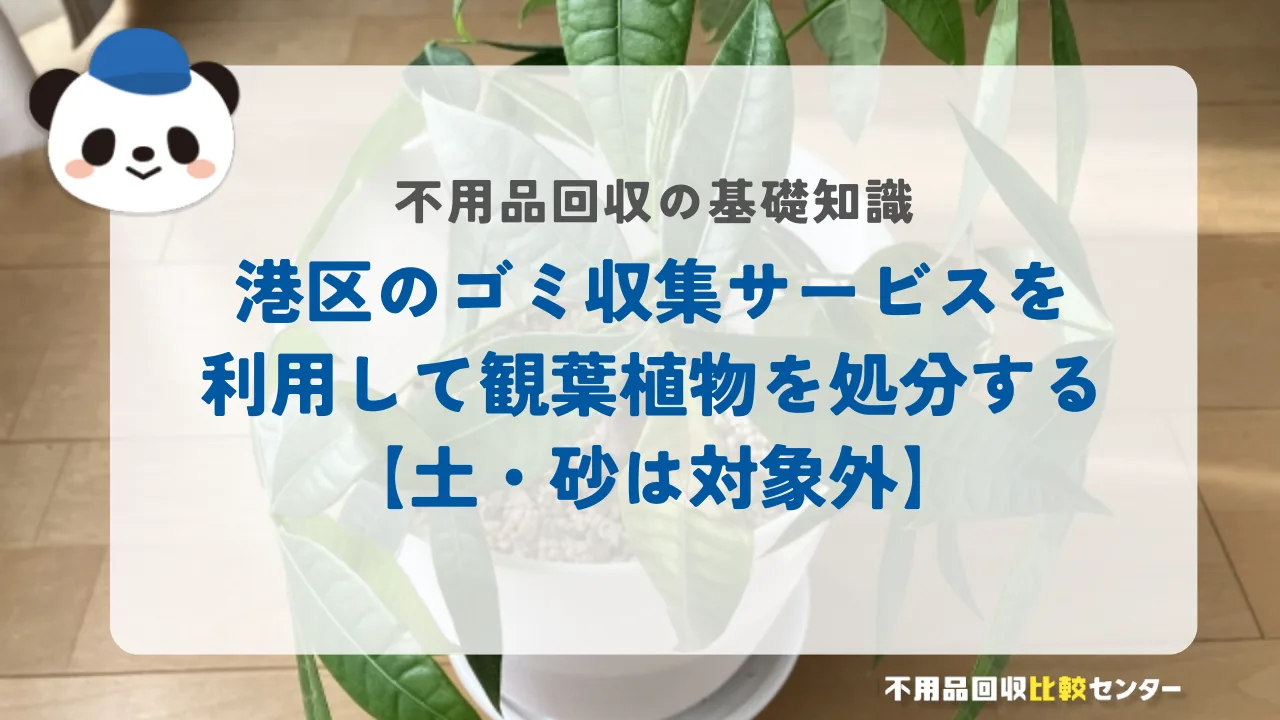 港区のゴミ収集サービスを利用して観葉植物を処分する：土・砂は対象外
