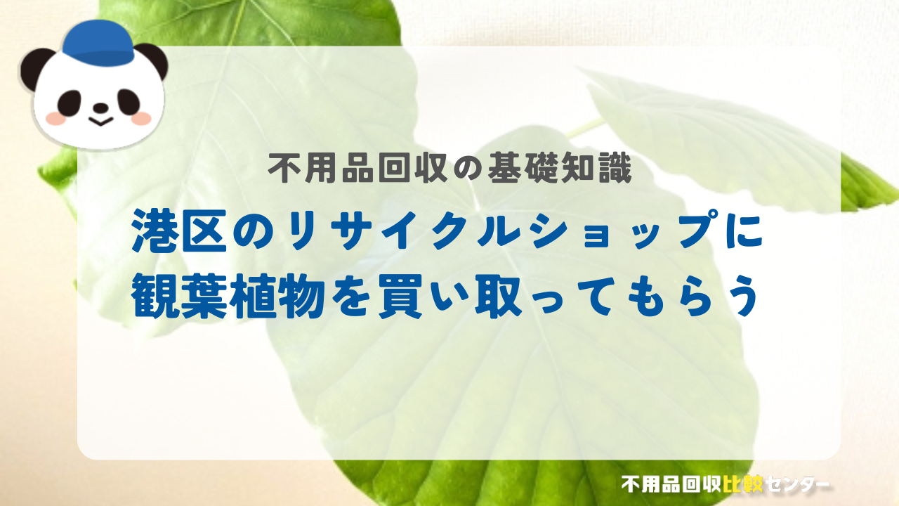 港区のリサイクルショップに観葉植物を買い取ってもらう