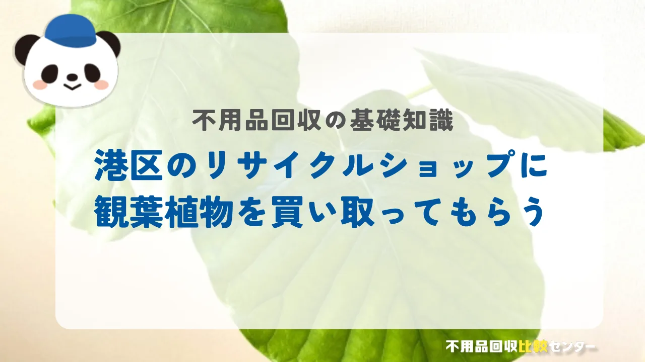 港区のリサイクルショップに観葉植物を買い取ってもらう