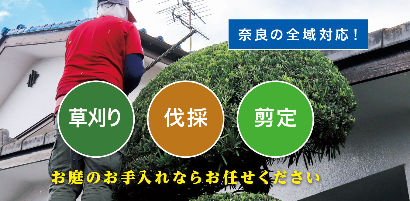 お庭の大将のトップ画像