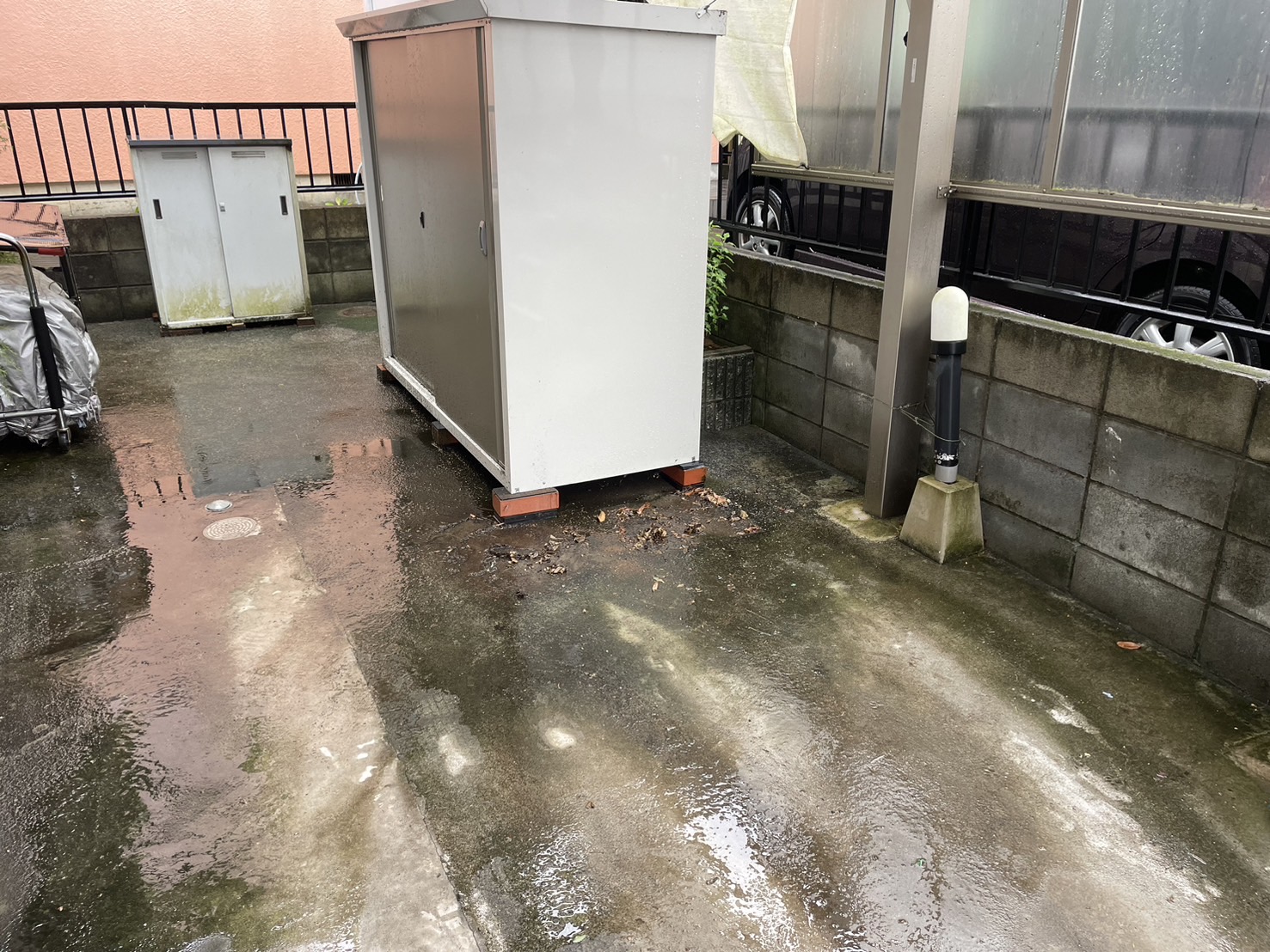 回収後の写真